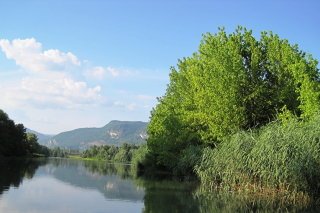 La Réserve Naturelle du Haut-Rhône Français